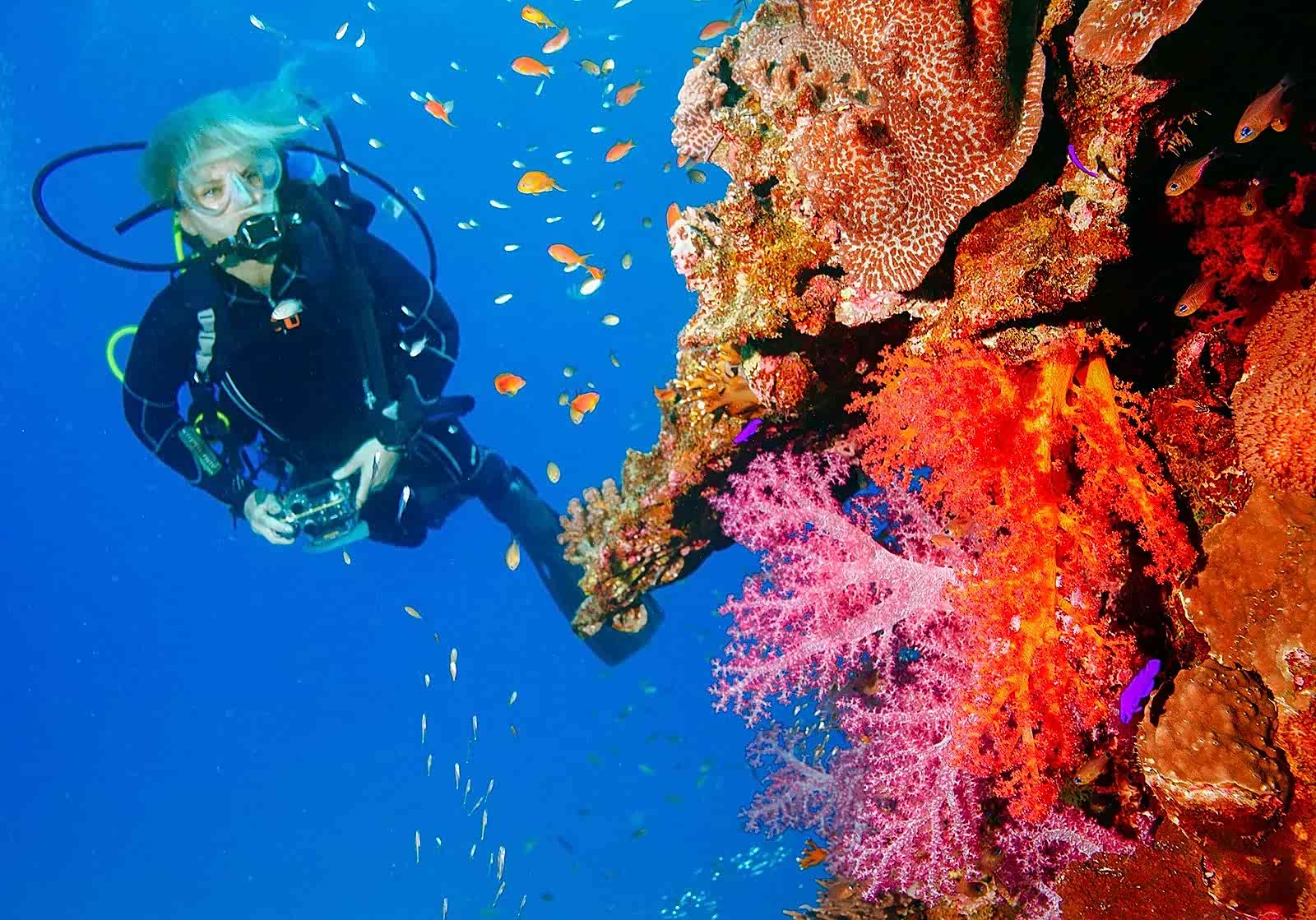 Kasım 2024 Mısır Turumuz